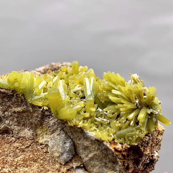 Matcha-green pyromorphite prisms on brown matrix from Guangxi, China, top view