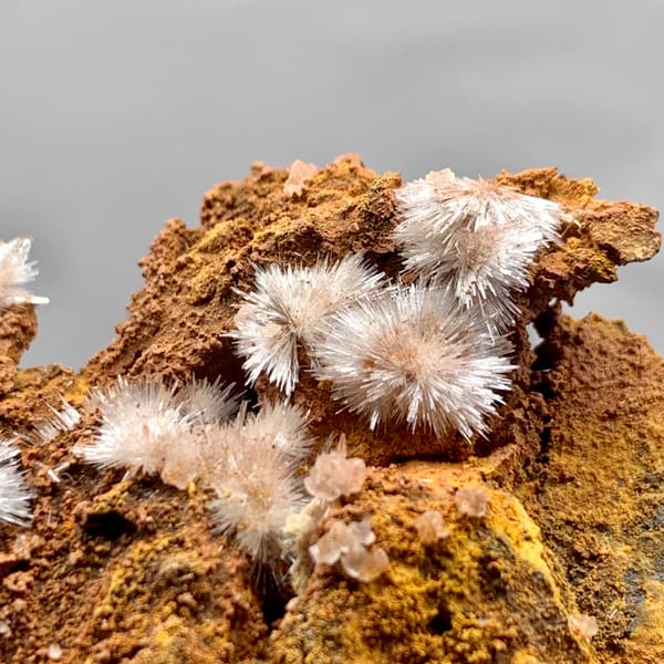 Pale pink aragonite flower sprays on rust-brown rock from Guizhou, China, second angle