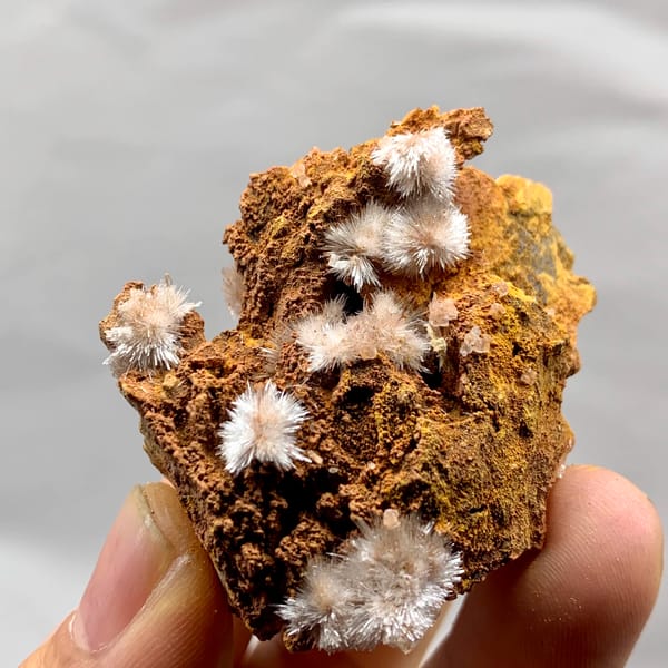 Pale pink aragonite flower sprays on rust-brown rock from Guizhou, China, close-up of the crystal faces