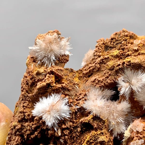 Pale pink aragonite flower sprays on rust-brown rock from Guizhou, China, reverse side
