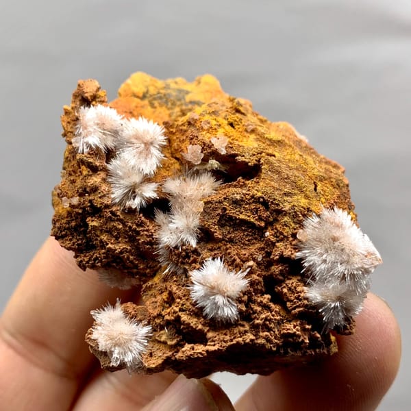Pale pink aragonite flower sprays on rust-brown rock from Guizhou, China, top view