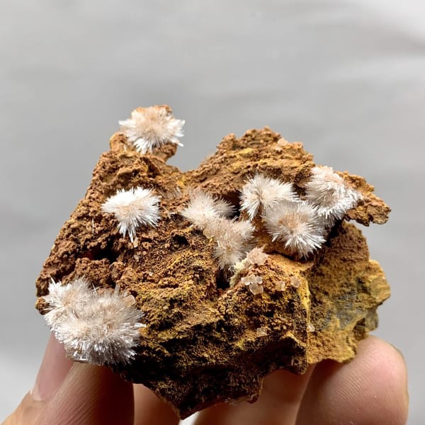 Pale pink aragonite flower sprays on rust-brown rock from Guizhou, China, detail of the matrix contact