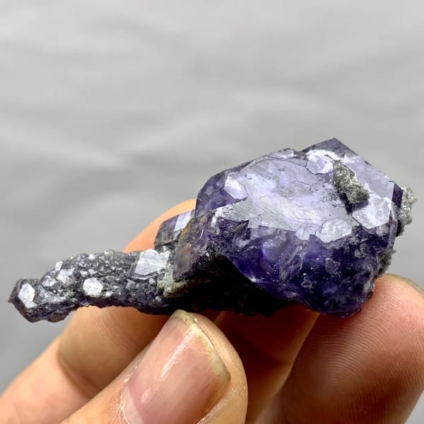 Tadpole-shaped violet fluorite floater with grey quartz from Fujian, China, reverse side