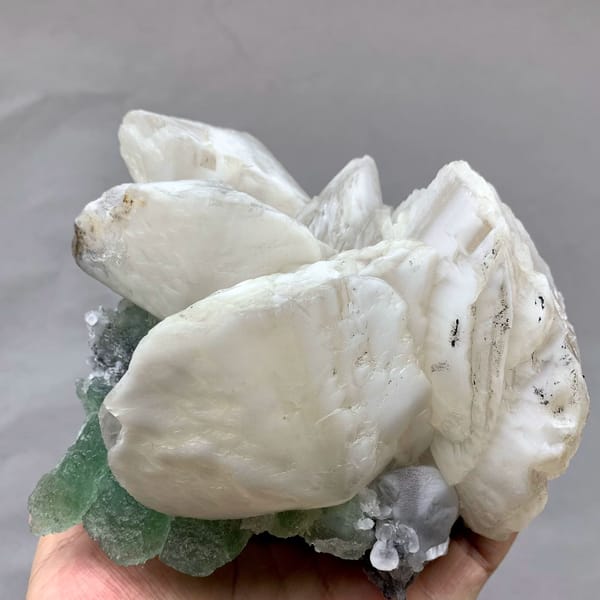 Huge shell-shaped white calcite crystals over green fluorite from Fujian, China, held in hand