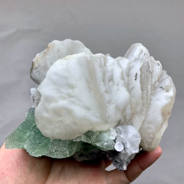 Huge shell-shaped white calcite crystals over green fluorite from Fujian, China, close-up of the crystal faces