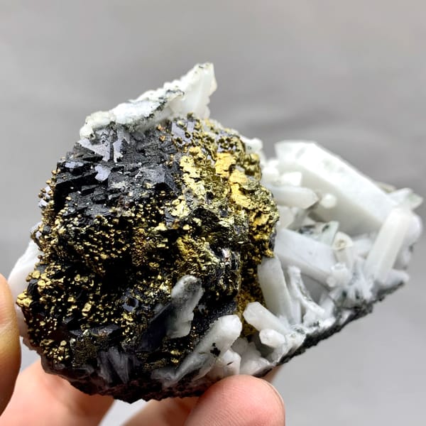 Golden chalcopyrite and black marmatite with white quartz from Inner Mongolia, China, top view