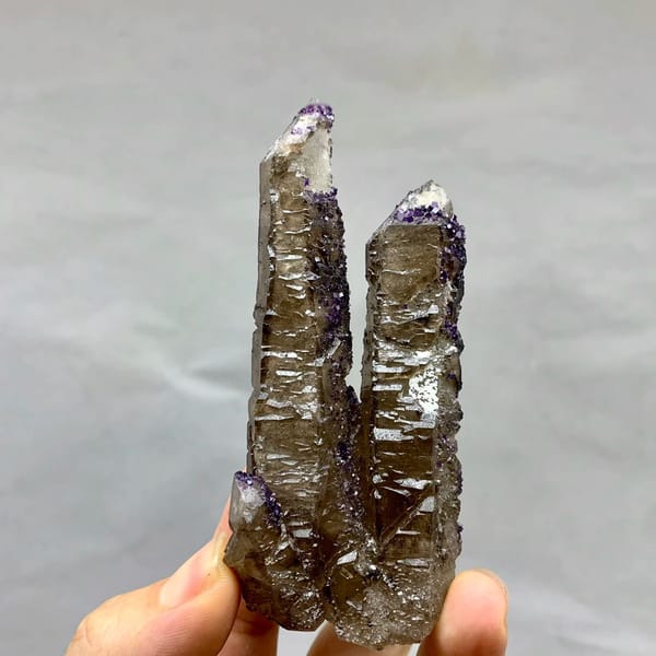 Two tea-brown quartz prisms with purple fluorite caps from Inner Mongolia, China, held in hand