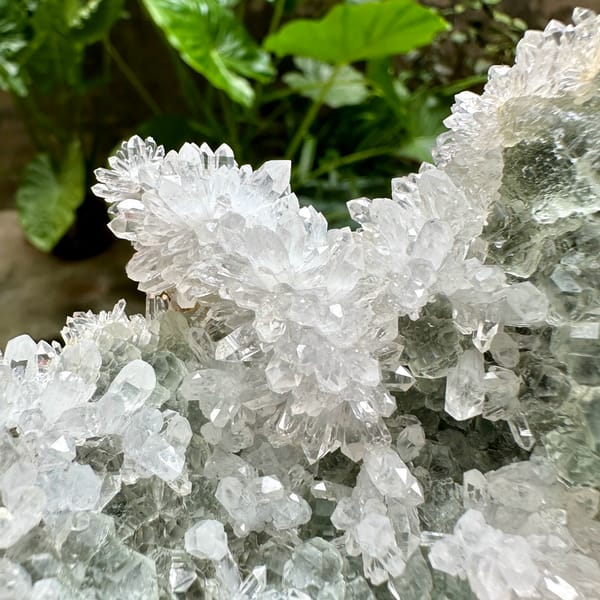 Sparkling white quartz cluster with green fluorite from Fujian, China, top view