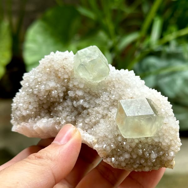 Two transparent green dodecahedral fluorite crystals on white quartz from Fujian, China, top view