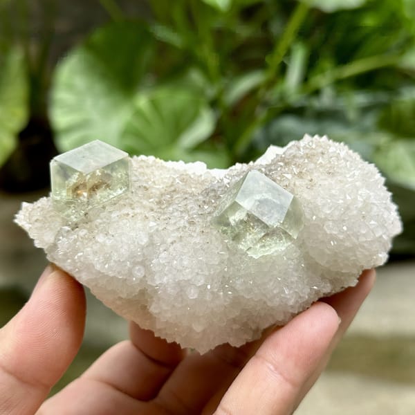 Two transparent green dodecahedral fluorite crystals on white quartz from Fujian, China, detail of the matrix contact