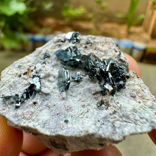 Black hematite rosettes on grey rock from Sichuan, China, reverse side