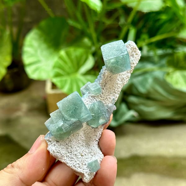 Teal fluorite cubes on tall pale quartz spike from Inner Mongolia, China, held in hand