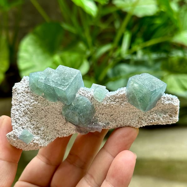 Teal fluorite cubes on tall pale quartz spike from Inner Mongolia, China, second angle