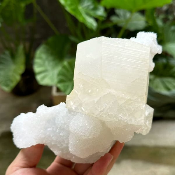 Giant hexagonal calcite prism on white quartz from Fujian, China, reverse side