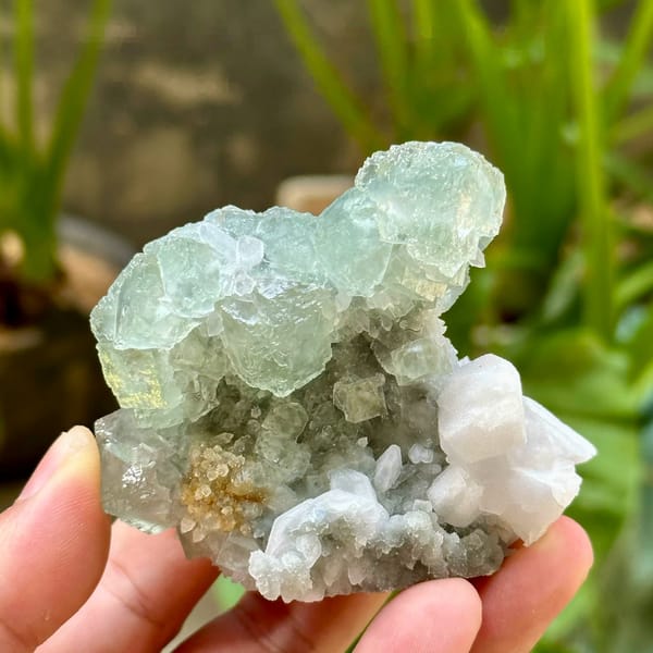 Glassy green fluorite over quartz with white calcite from Fujian, China, held in hand