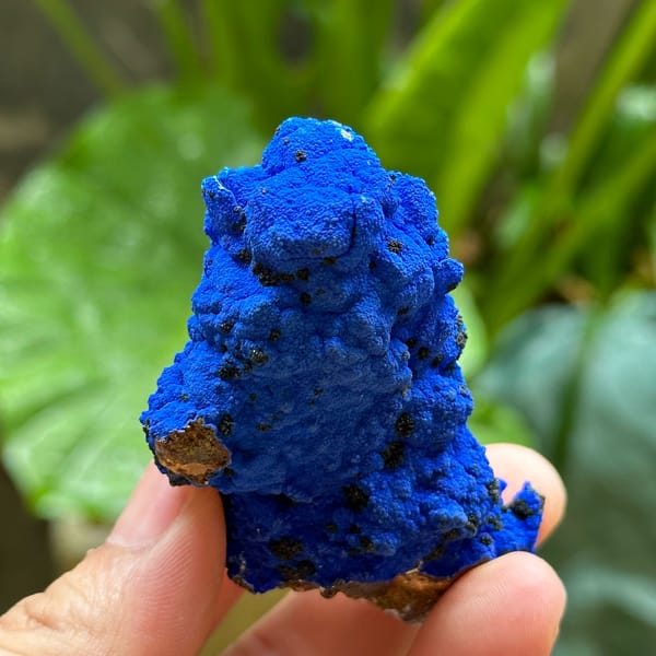 Electric-blue azurite crust covering fluorite from Yunnan, China, reverse side
