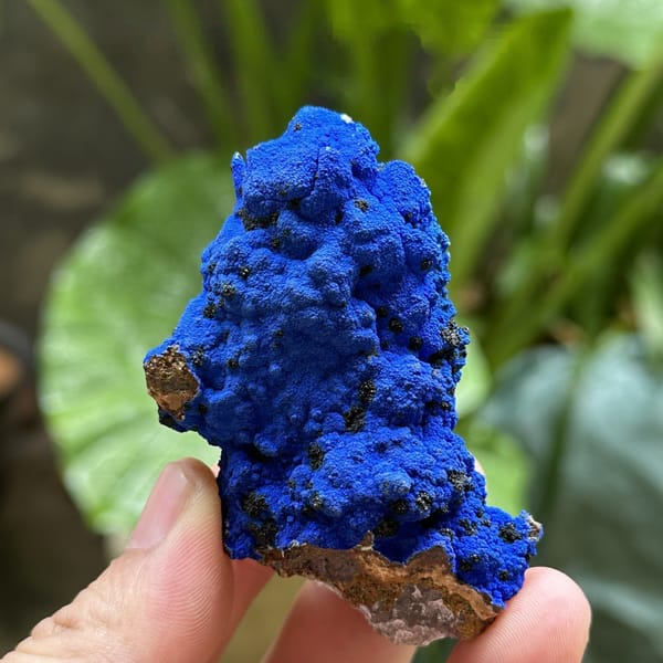 Electric-blue azurite crust covering fluorite from Yunnan, China, detail of the matrix contact