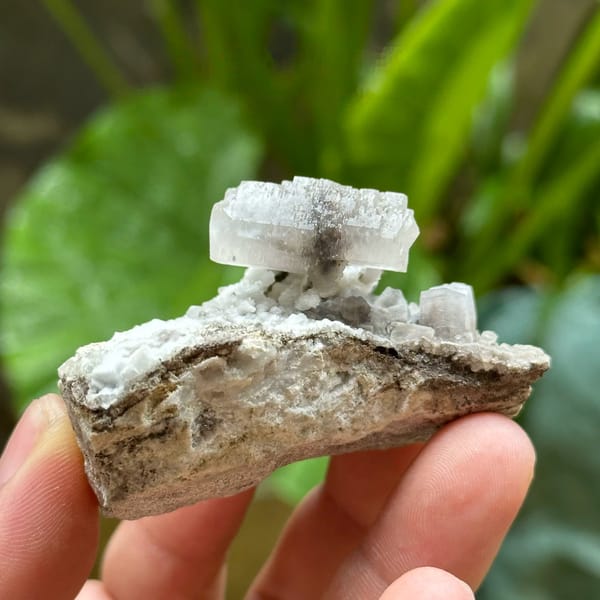White calcite crystal with black inclusions on dark rock from Fujian, China, held in hand