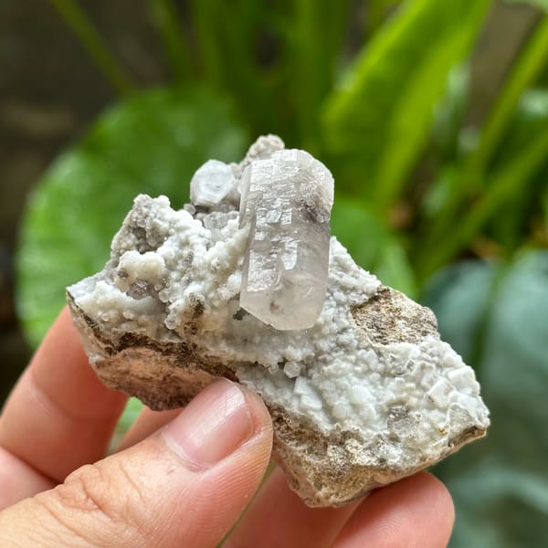 White calcite crystal with black inclusions on dark rock from Fujian, China, close-up of the crystal faces