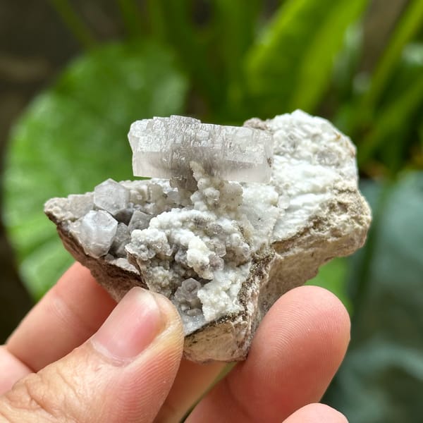 White calcite crystal with black inclusions on dark rock from Fujian, China, reverse side