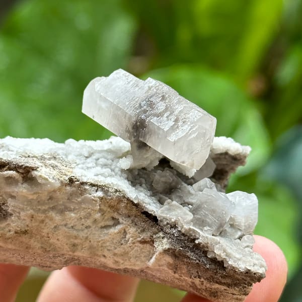 White calcite crystal with black inclusions on dark rock from Fujian, China, top view