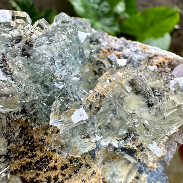 Glass-clear green fluorite cubes with pyrolusite dendrites from Xianghualing, Hunan, China, close-up of the crystal faces