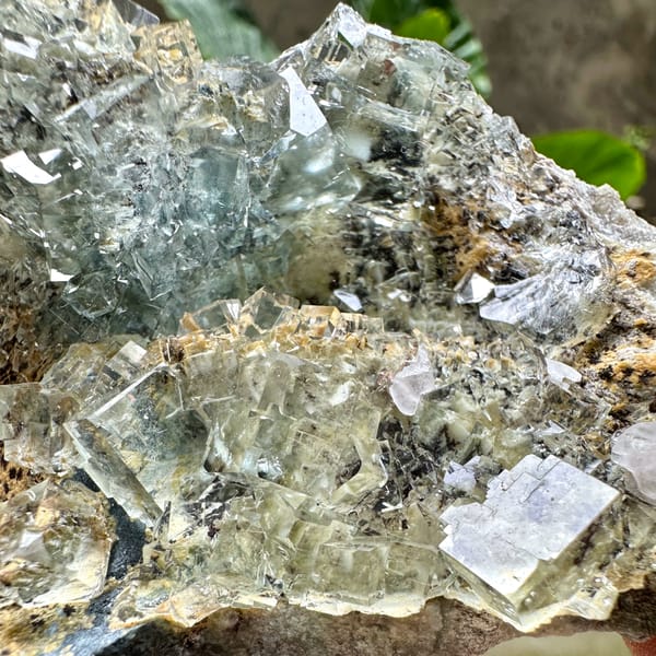 Glass-clear green fluorite cubes with pyrolusite dendrites from Xianghualing, Hunan, China, top view