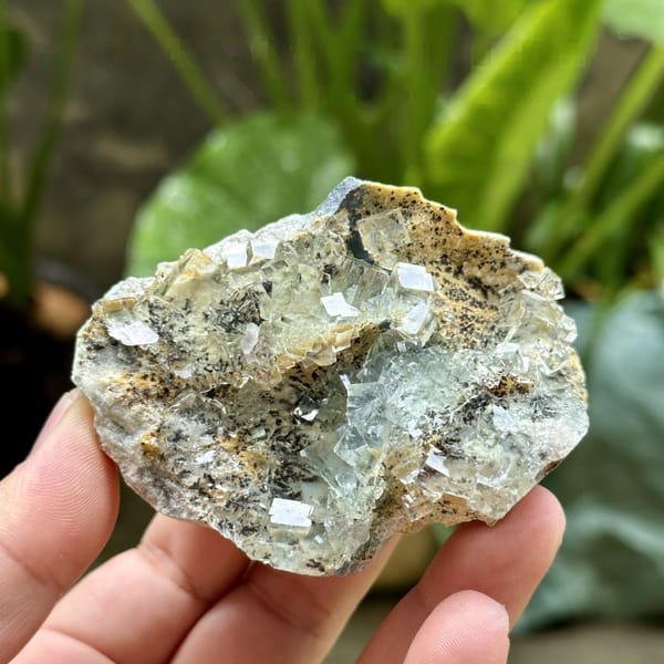 Glass-clear green fluorite cubes with pyrolusite dendrites from Xianghualing, Hunan, China, detail of the matrix contact