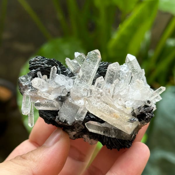 Etched clear quartz prisms on black specular hematite from Guangdong, China, held in hand