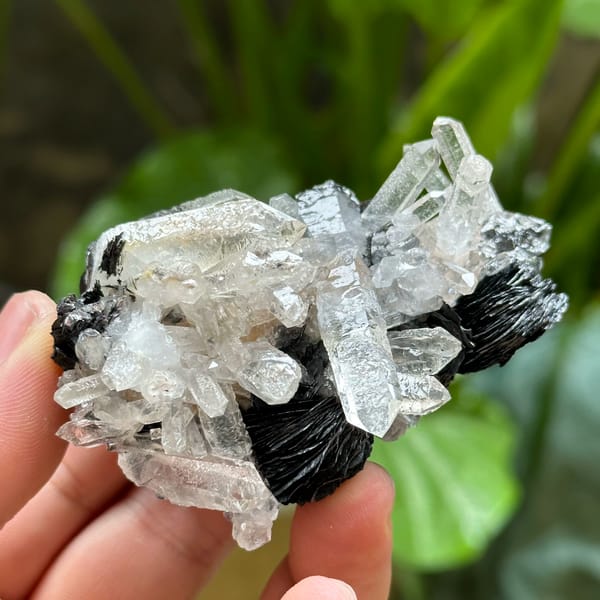 Etched clear quartz prisms on black specular hematite from Guangdong, China, close-up of the crystal faces