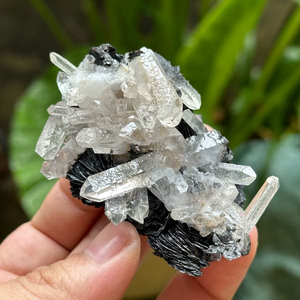 Etched clear quartz prisms on black specular hematite from Guangdong, China, reverse side