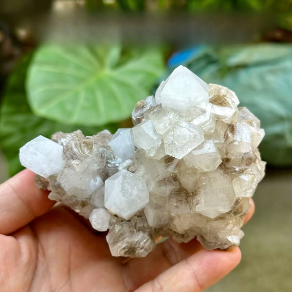 Clear quartz points with prismatic calcite from Fujian, China, held in hand