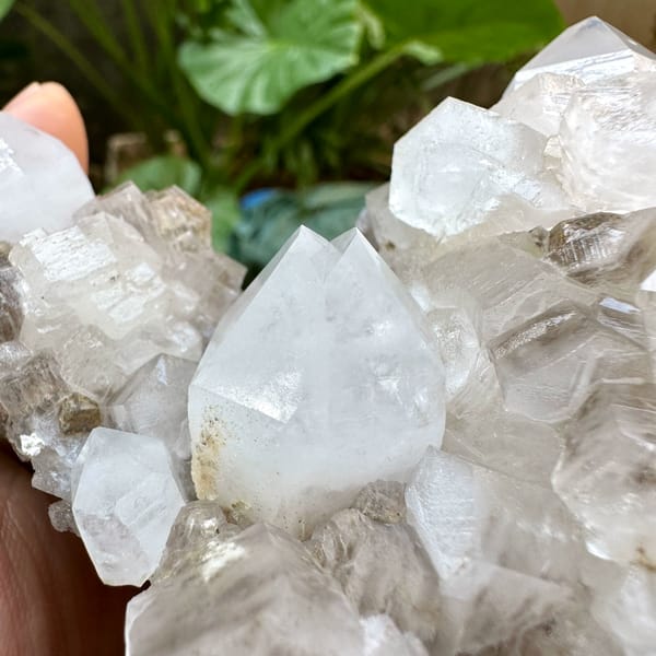 Clear quartz points with prismatic calcite from Fujian, China, close-up of the crystal faces