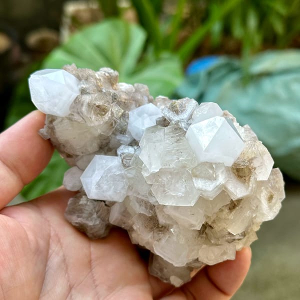 Clear quartz points with prismatic calcite from Fujian, China, reverse side
