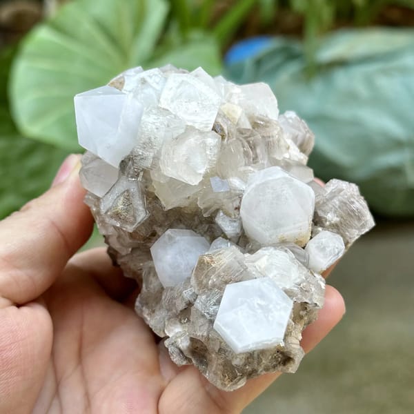 Clear quartz points with prismatic calcite from Fujian, China, top view