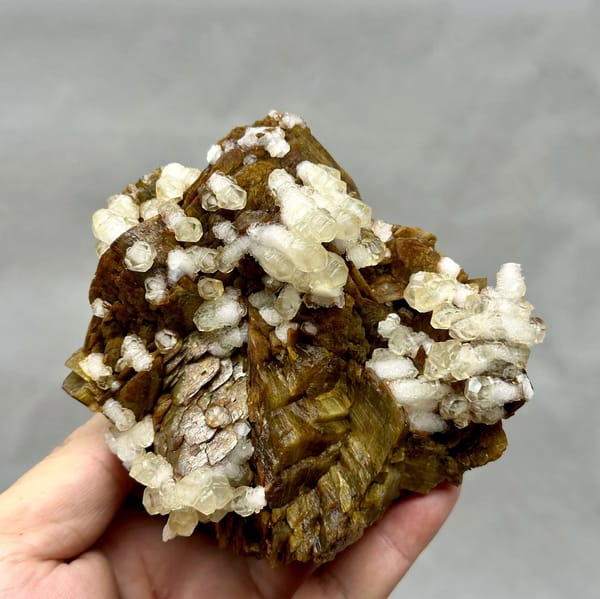 Golden-brown siderite rhombs dotted with white calcite from Guizhou, China, held in hand