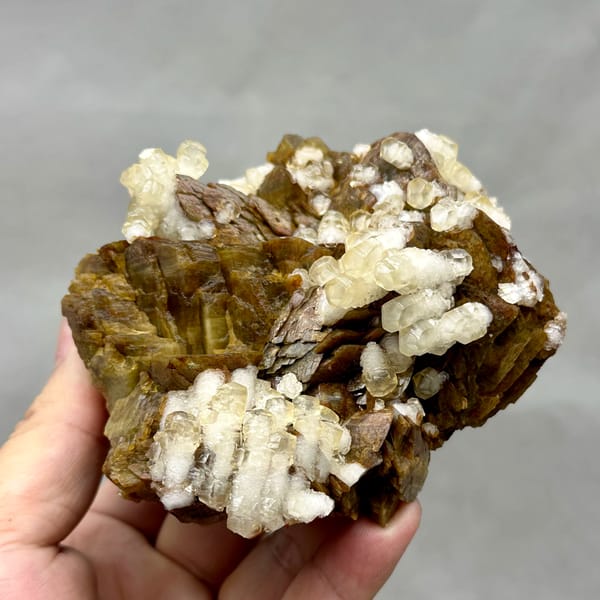 Golden-brown siderite rhombs dotted with white calcite from Guizhou, China, reverse side