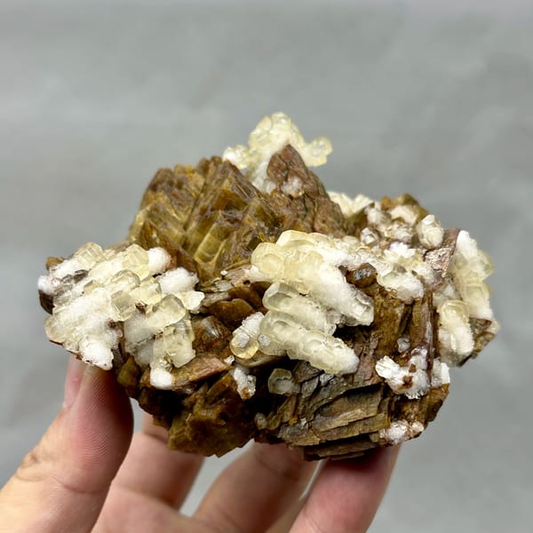 Golden-brown siderite rhombs dotted with white calcite from Guizhou, China, top view