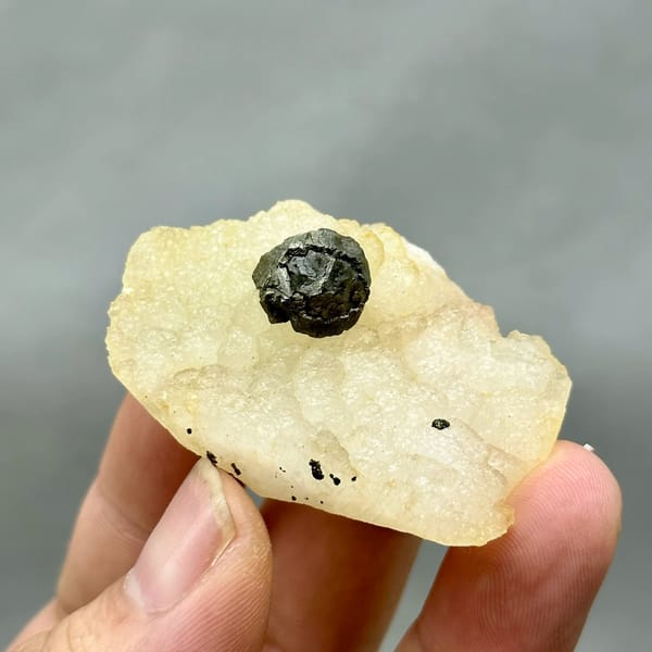 Black botryoidal pyrite ball on cream fluorite from Jiangxi, China, held in hand