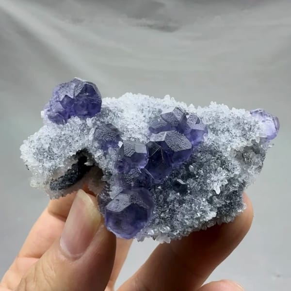 Violet-blue fluorite cubes on sparkling grey quartz from Fujian, China, held in hand