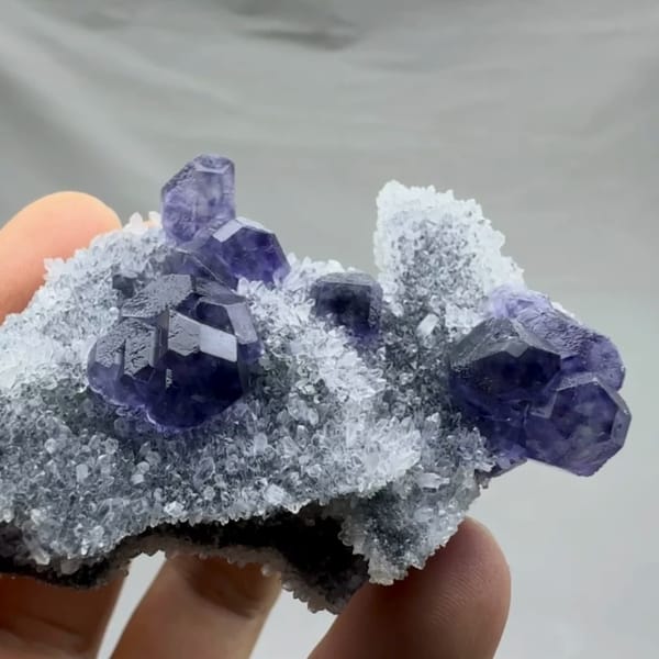 Violet-blue fluorite cubes on sparkling grey quartz from Fujian, China, reverse side