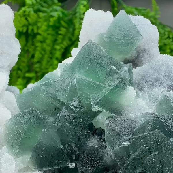 Dark green fluorite octahedra in white quartz and calcite from Fujian, China, close-up of the crystal faces