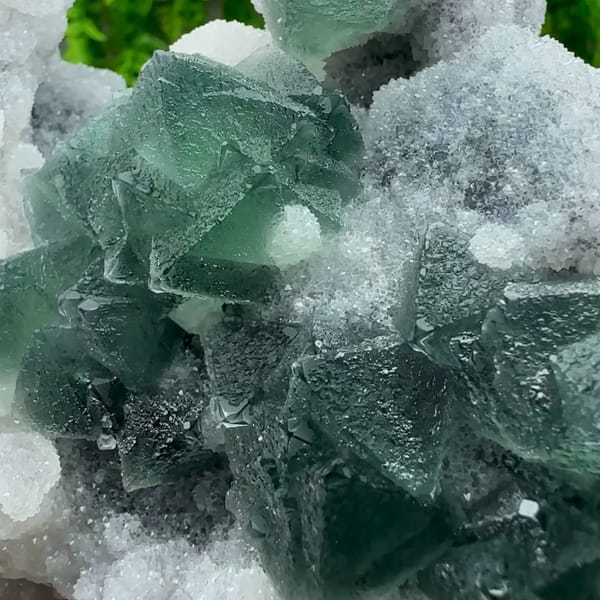 Dark green fluorite octahedra in white quartz and calcite from Fujian, China, reverse side