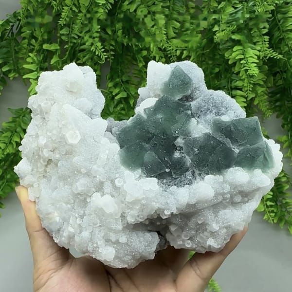 Dark green fluorite octahedra in white quartz and calcite from Fujian, China, detail of the matrix contact