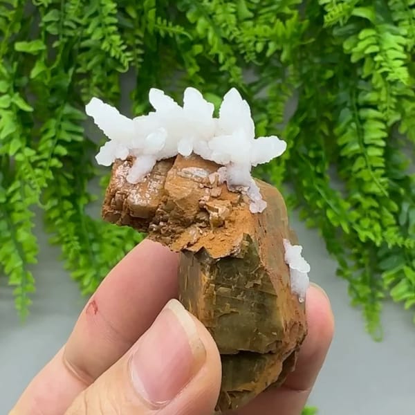White calcite sprays on brown siderite block from Guizhou, China, close-up of the crystal faces