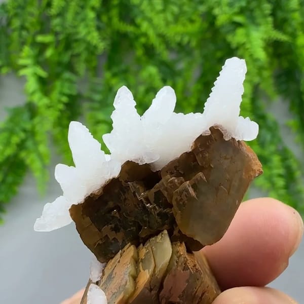 White calcite sprays on brown siderite block from Guizhou, China, reverse side