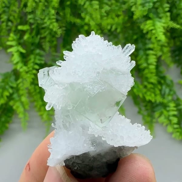 Green fluorite cube in spray of clear quartz needles from Zhejiang, China, held in hand
