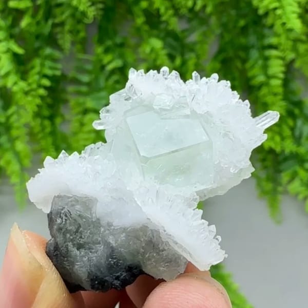 Green fluorite cube in spray of clear quartz needles from Zhejiang, China, second angle