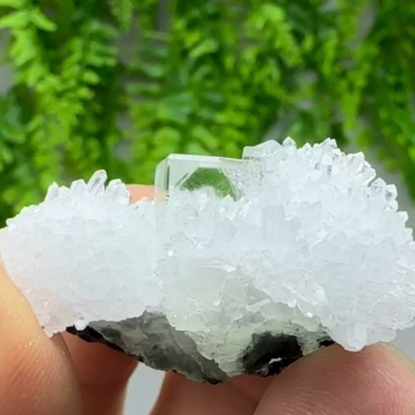 Green fluorite cube in spray of clear quartz needles from Zhejiang, China, close-up of the crystal faces