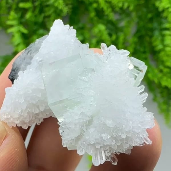 Green fluorite cube in spray of clear quartz needles from Zhejiang, China, reverse side
